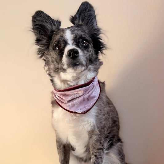 Pet Bandana